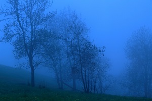 最初は誰でも怖い。